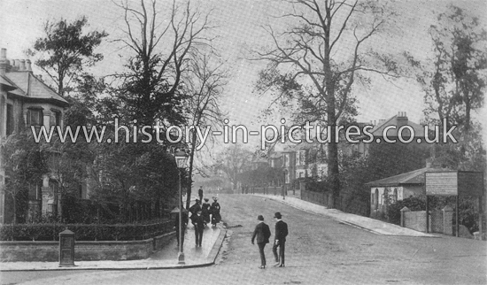 The Drive, Cranbrook Park, Ilford, Essex. c.1906